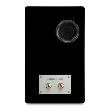 Boxe Yamaha NS-3000