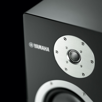 Boxe Yamaha NS-3000