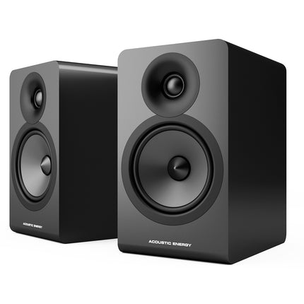 Boxe de raft Acoustic Energy AE100.2
