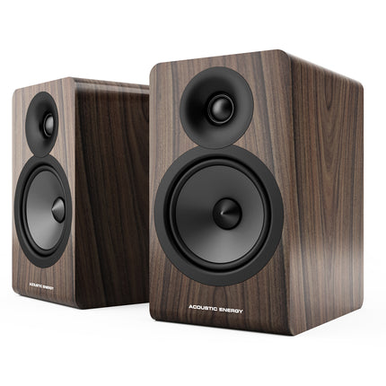 Boxe de raft Acoustic Energy AE100.2