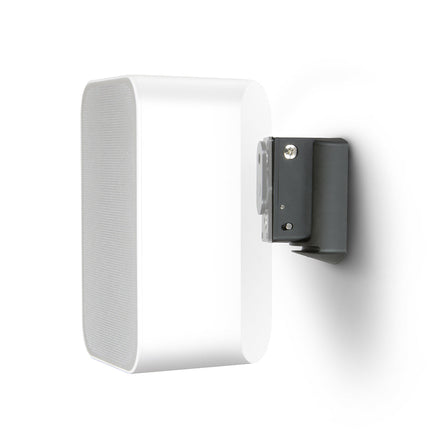 Suport perete Bluesound WM100 pentru Pulse Flex 2i