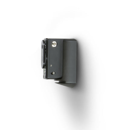 Suport perete Bluesound WM100 pentru Pulse Flex 2i