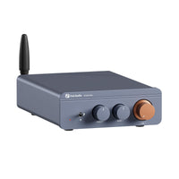 Fosi Audio BT20A Pro