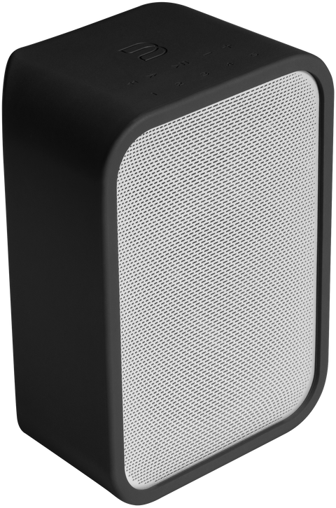 Bluesound FLEX SKIN, vedere principală