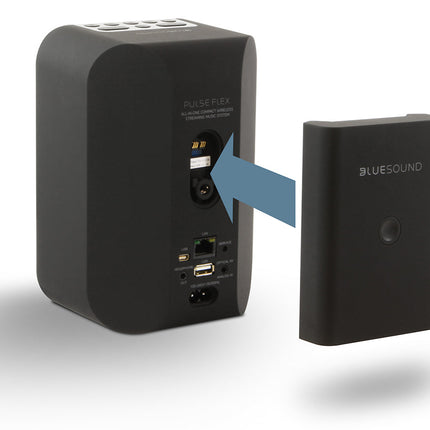 Baterii Bluesound BP100 pentru PULSE FLEX