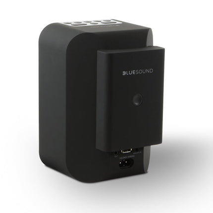 Baterii Bluesound BP100 pentru PULSE FLEX