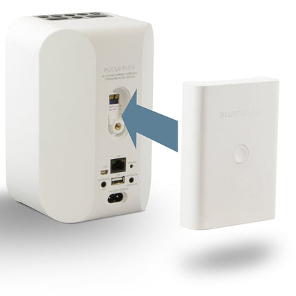 Baterii Bluesound BP100 pentru PULSE FLEX