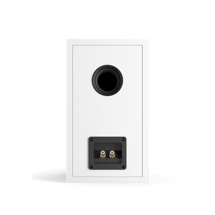 Boxe de raft DALI OBERON 1