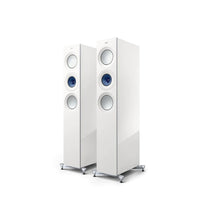High Gloss White/ Blue