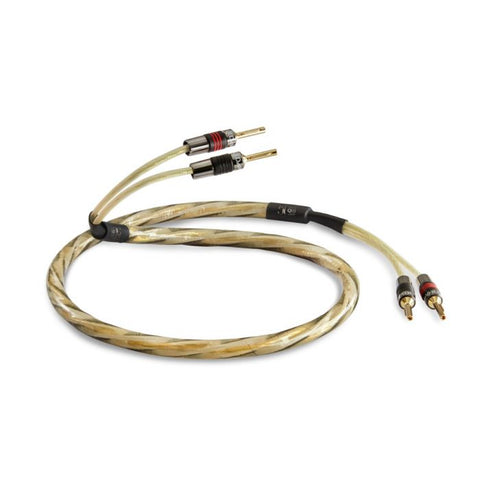 QED Cablu de boxe Golden Anniversary XT