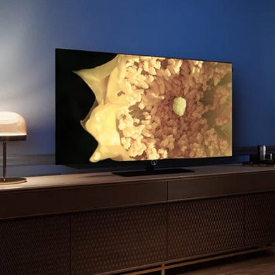 Televizor OLED LOEWE bild v.48 dr+, 121 cm (48 inch), Smart, 4K Ultra HD
