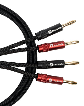 Fosi Audio 14AWG, tip banana plug, cu panoul frontal, comenzile și carcasa vizibile