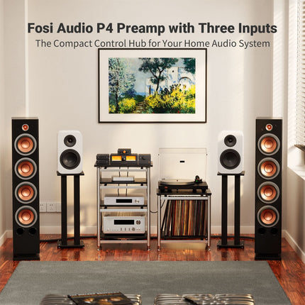 Fosi Audio P4 văzut din spate și de sus, cu intrările și ieșirile vizibile