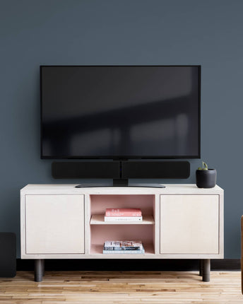 Bluesound TS100, vedere de produs 4
