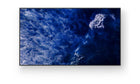 Sony BRAVIA FW-98BZ53L