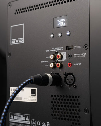 SVS PB-3000 R|Evolution, panoul de comandă din spate
