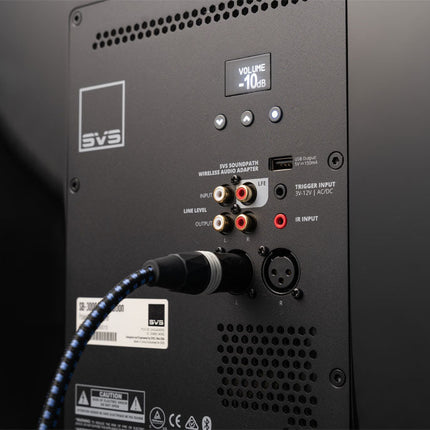 SVS PB-3000 R|Evolution, panoul de comandă din spate
