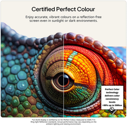 LG OLED evo AI G6 55 inch - PC