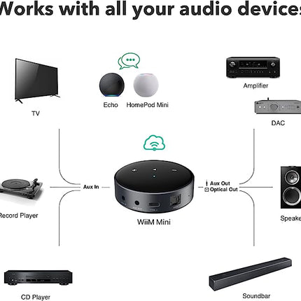 Streamer Wi-Fi WiiM Mini, 24bit /192kHz