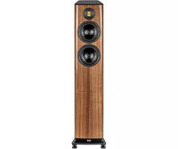 Walnut High Gloss