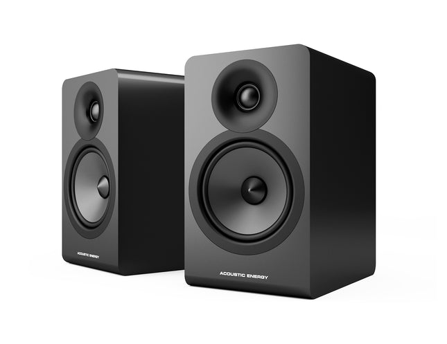 Boxe de raft Acoustic Energy AE100.2
