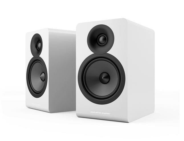 Boxe de raft Acoustic Energy AE100.2