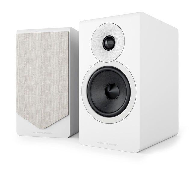 Boxe de raft Acoustic Energy AE300.2