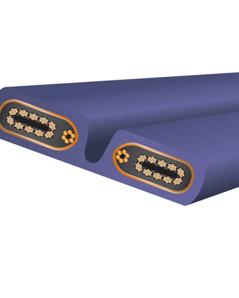 Wireworld Aurora 10 Cablu de alimentare