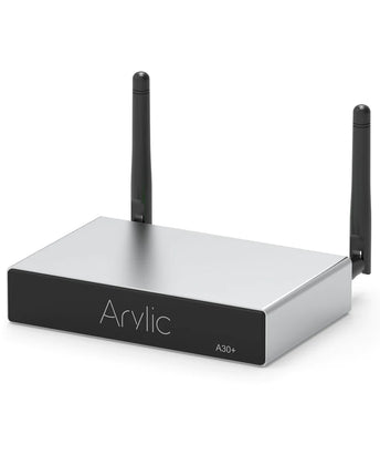 Arylic A30+