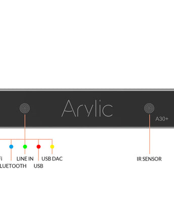 Arylic A30+