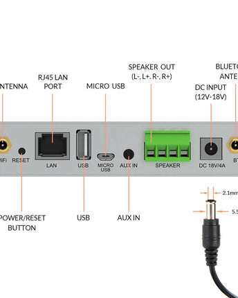 Arylic A30+