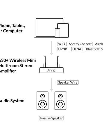 Arylic A30+
