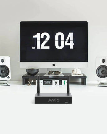 Arylic A30+