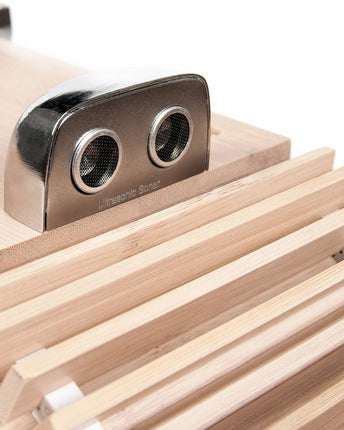 iFi Audio Aurora