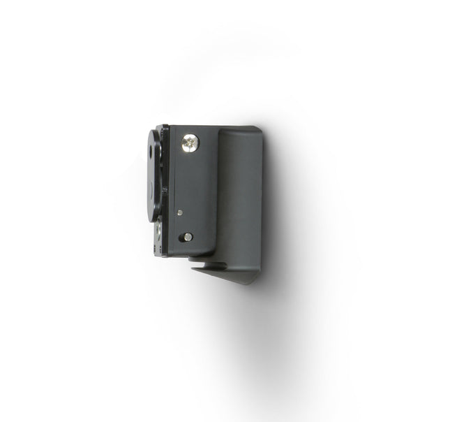 Suport perete Bluesound WM100 pentru Pulse Flex 2i
