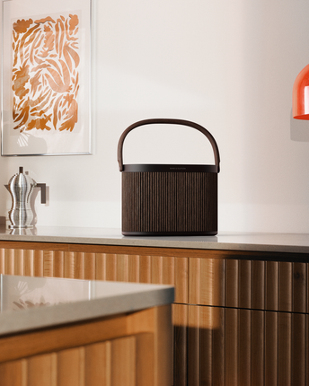 Bang & Olufsen Beosound A5