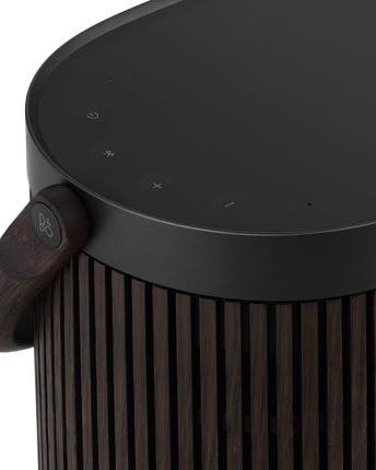 Bang & Olufsen Beosound A5