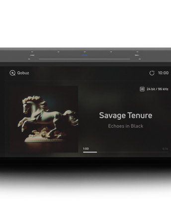 Bluesound NODE ICON, vedere principală