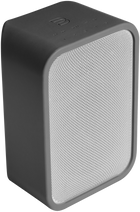 Bluesound FLEX SKIN, vedere de produs 4