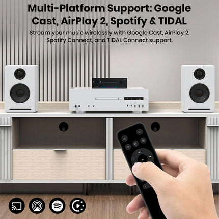 Streamer Arylic LP20