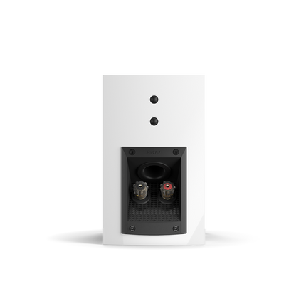 Boxe de raft DALI MENUET