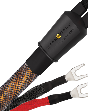 Wireworld Eclipse 10 cablu de boxe, fundal transparent