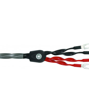 Wireworld Equinox 8 Cablu de boxe
