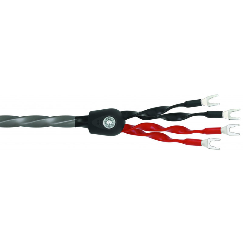 Cablu de boxe Wireworld EQUINOX 8 (EQS)