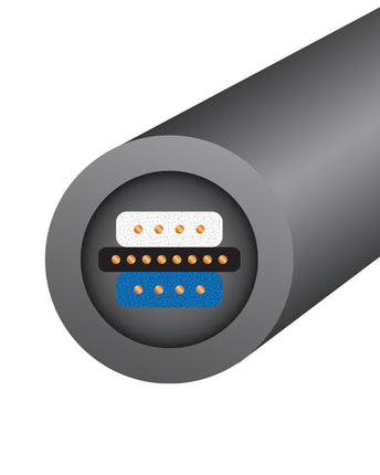Wireworld Equinox 10 Interconect, 2 RCA - 2 RCA