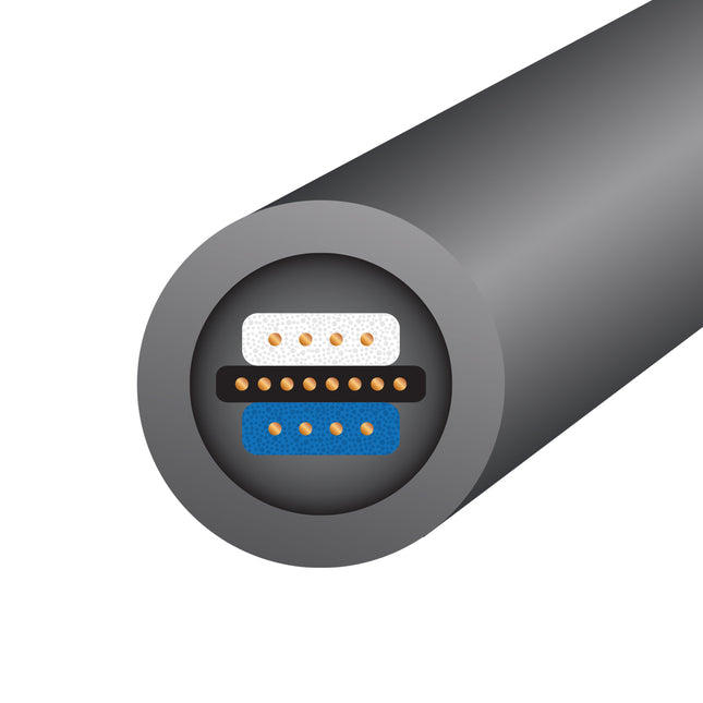 Cablu Wireworld Equinox 10 XLR Balanced Interconnect, 2 XLRF - 2 XLRM