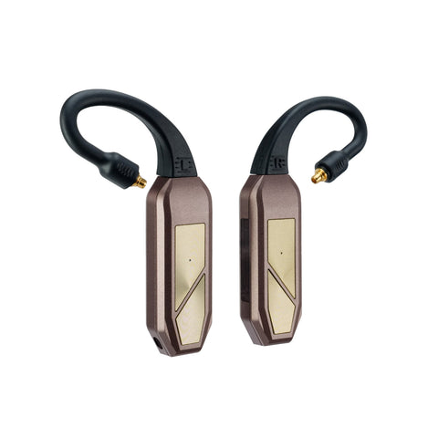 iFi Audio GO pod Max
