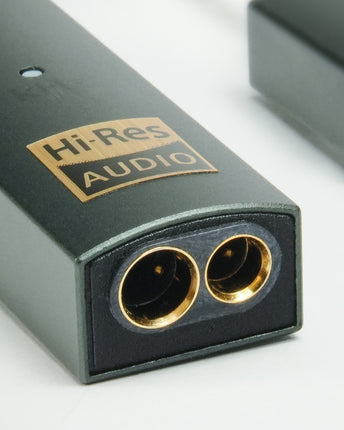 iFi Audio GO link Max