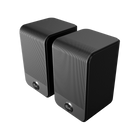 Klipsch Flexus SURR 100