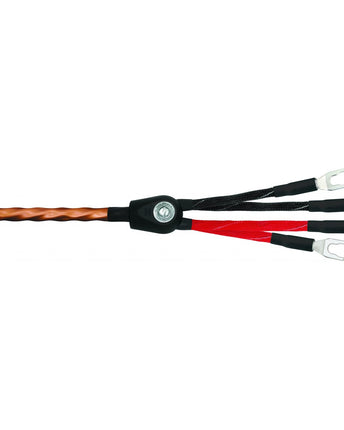 Wireworld Mini Eclipse 8 Cablu de boxe biwired